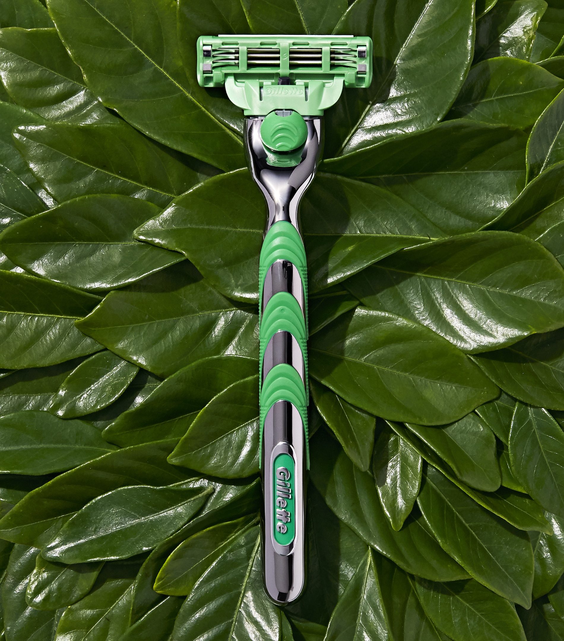 Aparelho Gillette verde deitado sobre folhas brilhantes